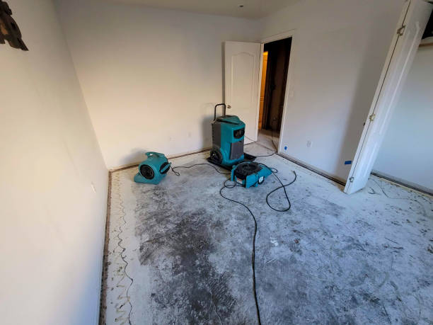  Monroe North, WA Water damage restoration Pros