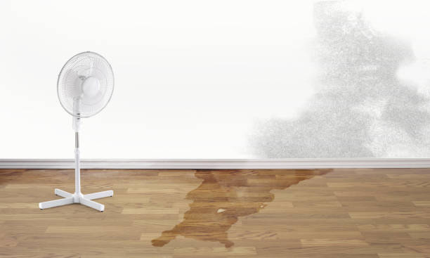 Best Residential water damage restoration  in Monroe North, WA