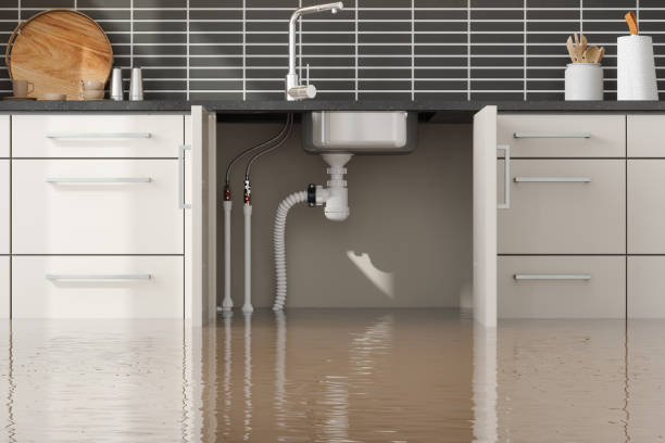 Best Flood damage cleanup  in Monroe North, WA
