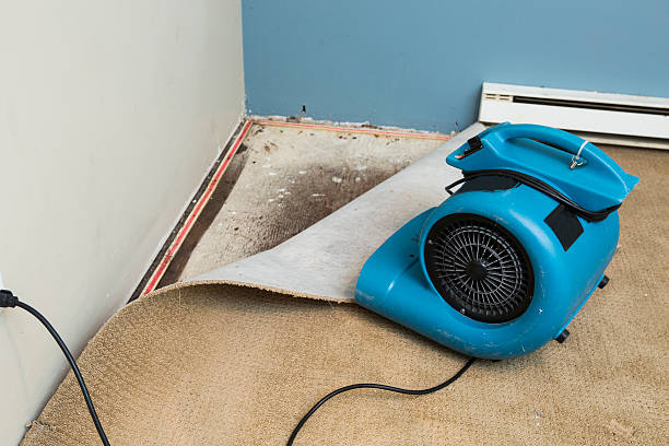 Best Emergency water damage restoration  in Monroe North, WA